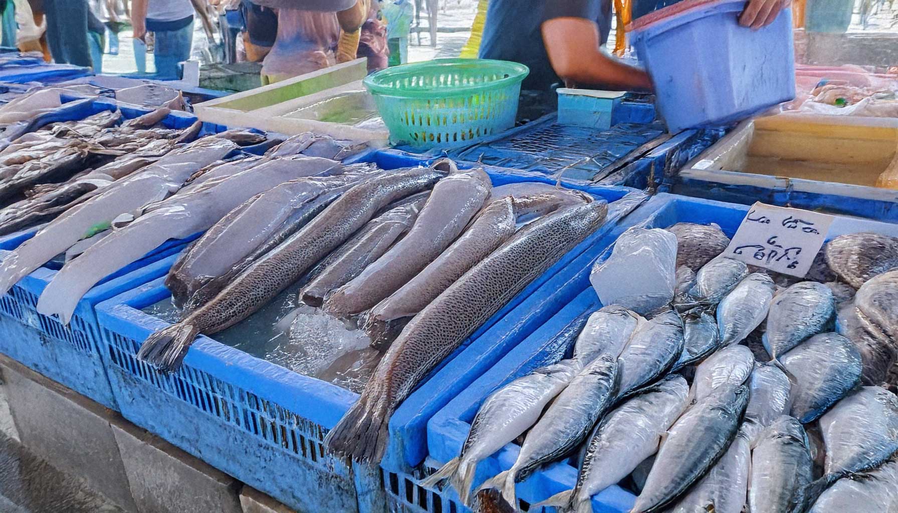 Ein belebter Fischmarkt mit frischen Meeresfrüchten auf Eis